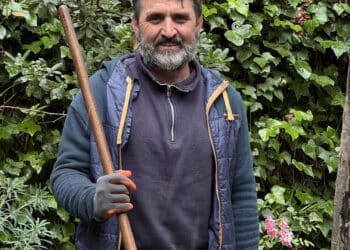 Guillermo Cuadrado Olvera