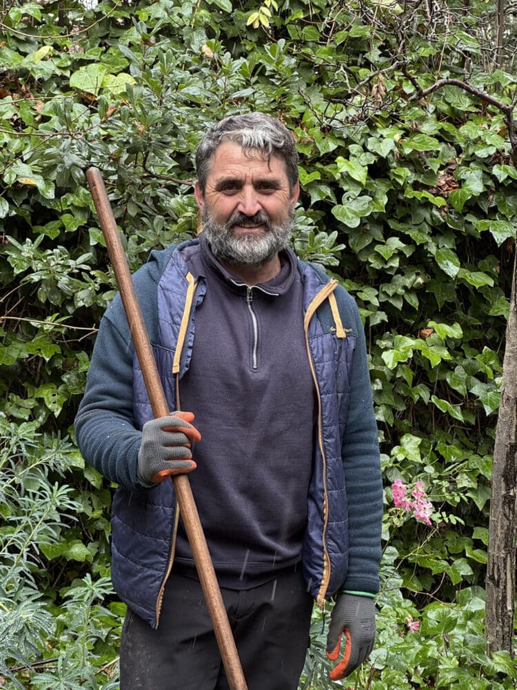 Guillermo Cuadrado Olvera