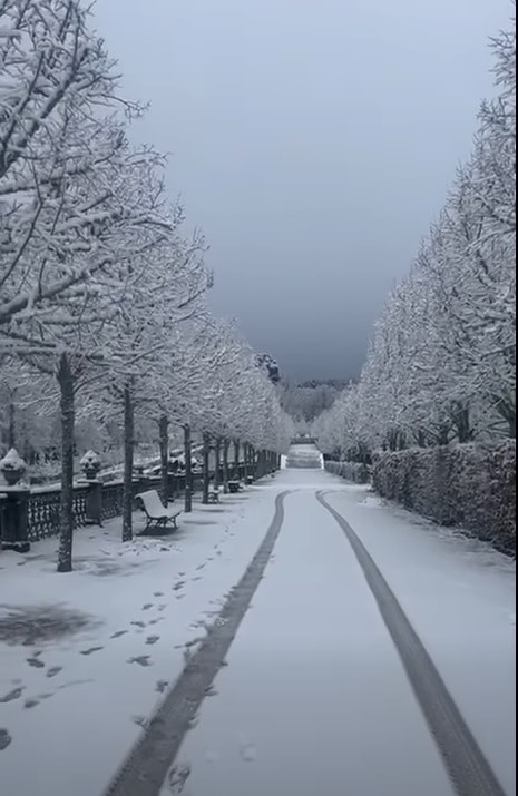 La nieve complica la circulación del tráfico en numerosas carreteras de la provincia 3 El Real Sitio amaneció nevado el 3 de diciembre./ AYTO. LA GRANJA