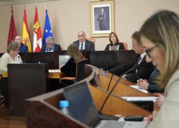 Pleno de diciembre de la Diputación de Segovia. / DIPUTACIÓN