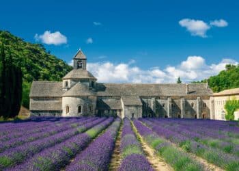 Abadía de Senaque, Francia.