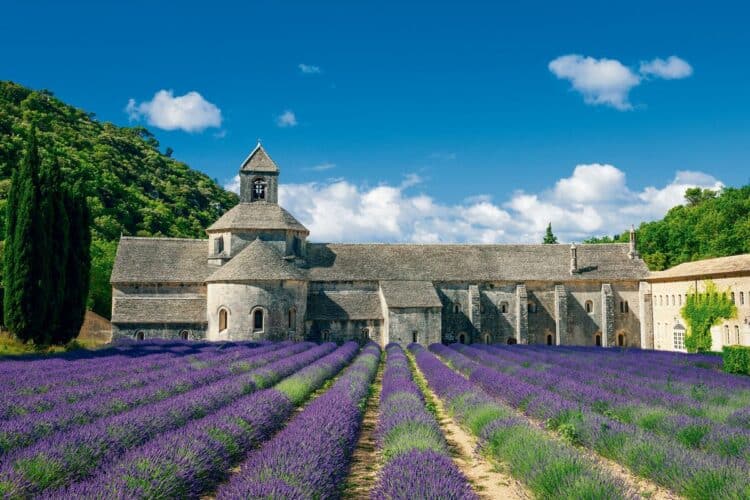 Abadía de Senaque, Francia.