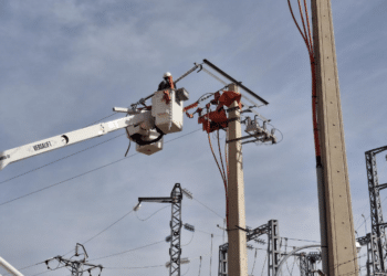 Eliminado un punto negro de electrocución de aves en Segovia tras la actuación conjunta de Colectivo Azálvaro, Junta y Naturgy / COLECTIVO AZÁLVARO
