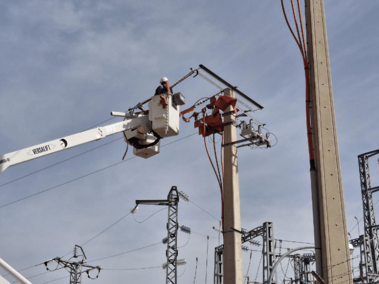 Eliminado un punto negro de electrocución de aves en Segovia tras la actuación conjunta de Colectivo Azálvaro, Junta y Naturgy / COLECTIVO AZÁLVARO