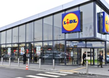 Lidl lo vuelve a hacer: este entrante muy demandado sabe al Club del Gourmet y cuesta solamente 5 euros