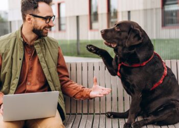 Si eres de esas personas que hablan con sus mascotas