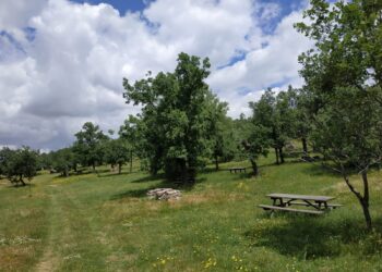 Entorno natural rodeado de robles y fresnos. / FOTO: PARQUE ECOLÓGICO DE LA DEHESA
