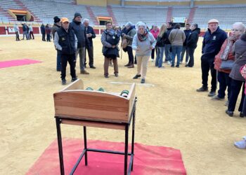 Un instante durante la cita de Juegos Autóctonos en Íscar./DIPUTACIÓN