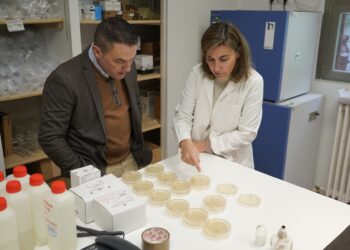 Figueredo durante su visita. /DIPUTASCIÓN DE SEGOVIA