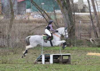 Jimena Muñoz y ‘Alferez XIV’ durante un ejercicio en el Centro Ecuestre./FHCYL