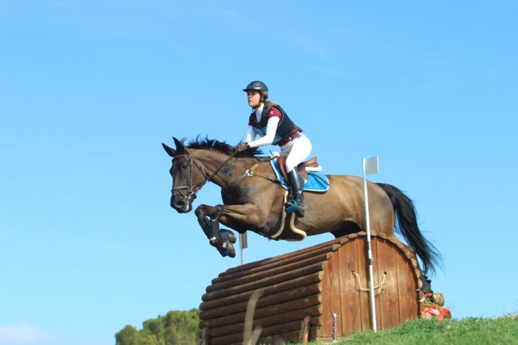 Una de las pruebas de TREC celebradas en 2025./ FEDERACIÓN