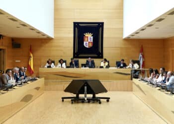 Diputación Permanente de las Cortes. / Miriam Chacón