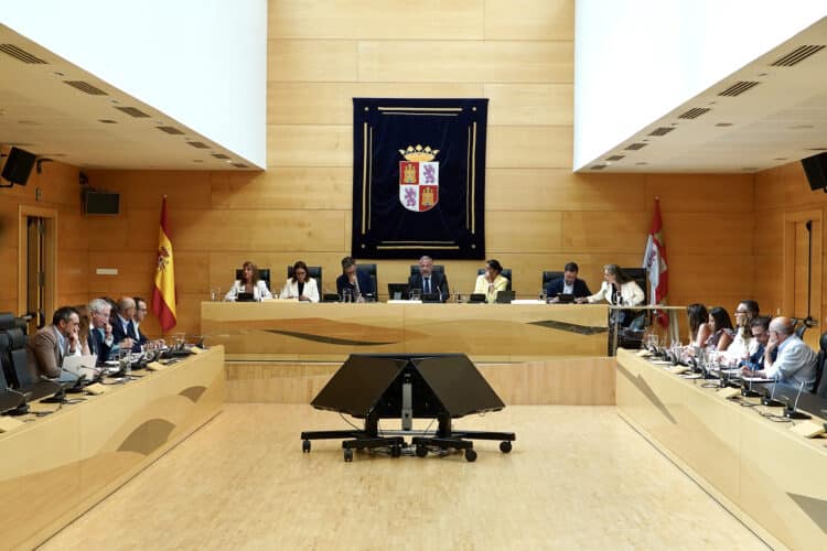 Diputación Permanente de las Cortes. / Miriam Chacón