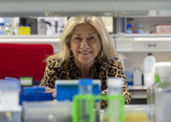 La investigadora Ángeles Almeida, coordinadora del proyecto. / David Arranz