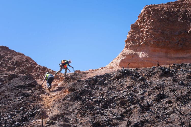 Más de 70 científicos han participado en la investigación sobre el terreno, la vegetación, el suelo y el impacto social. / CSIC