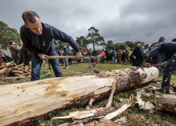 Ediciones anteriores de la Fiesta de los Gabarreros / KAMARERO