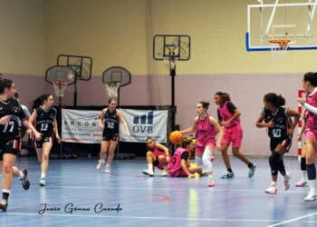 Instante de partido del Cochinillo Segoviano durante la presente temporada./CD SPORDEPORTE