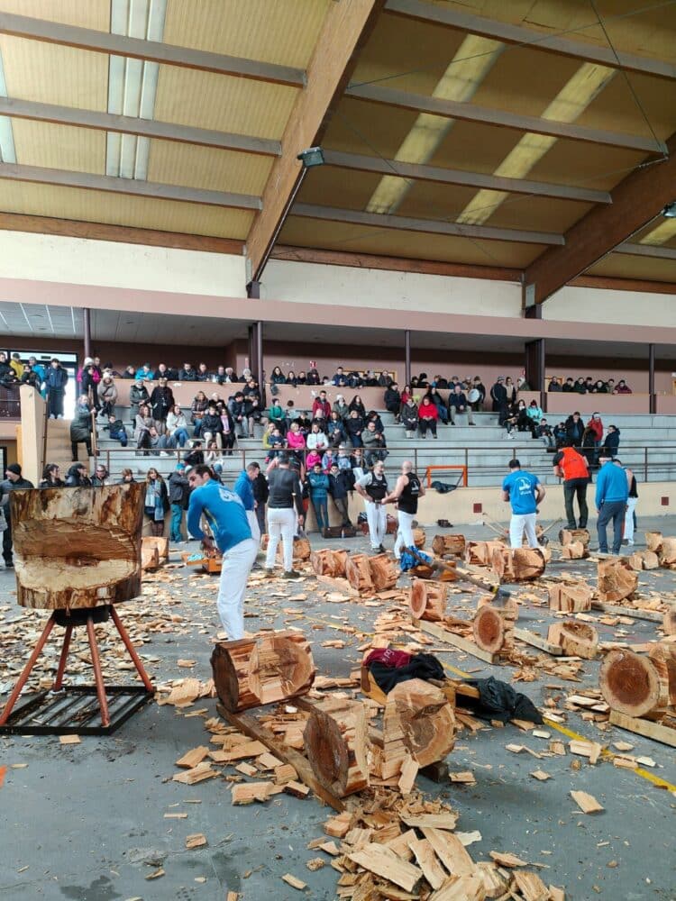 La corta de troncos fue el momento más esperado./FRANCISCO SÁNCHEZ