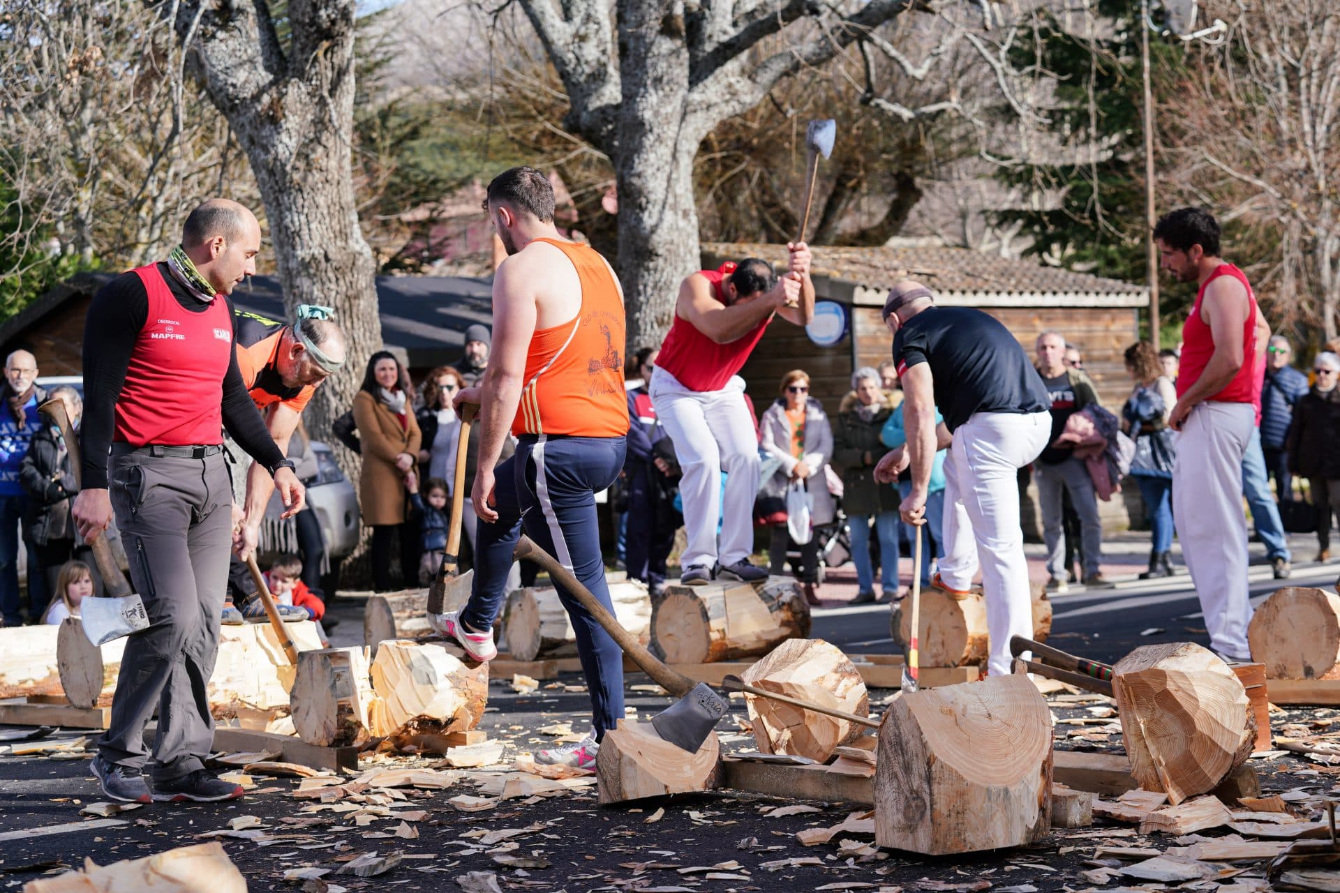 FIESTAS DE INVIERNO EN LOS REALES SITIOS DE SAN ILDEFONSO 2 Corta de troncos en Valsaín 2023.