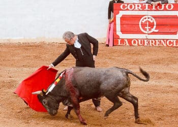 El torero segoviano Emilio de Frutos, con un novillo de Saltillo en el Cortijo ‘La Querencia’. / FOTO CEDIDA POR EMILIO DE FRUTOS