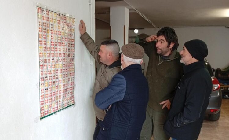 Actividades de formación llevadas a cabo en el municipio / E.A.