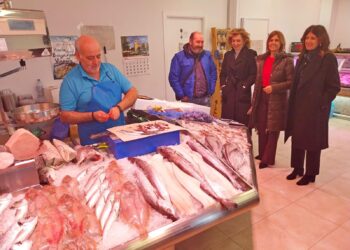 Visita a uno de los locales comerciales subvencionados con el programa / JCYL