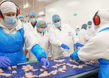 La consejera de Industria Leticia García visita una fábrica. JL LEAL.