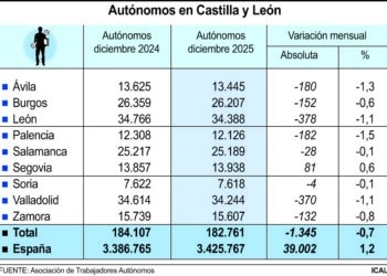Tabla de autónomos en Castilla y León entre diciembre de 2024 y 2025.
