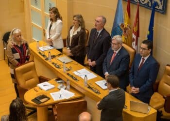 Imagen de un Pleno en el Ayuntamiento de Segovia.  /Héctor Criado