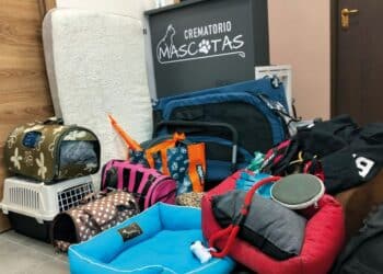 La iniciativa de Fuentebet permite que el vínculo con el animal de compañía continúe.