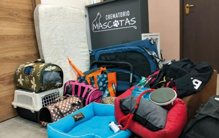 La iniciativa de Fuentebet permite que el vínculo con el animal de compañía continúe.