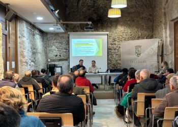 Instante de la charla sobre los proyectos de plantas de biogás / AYTO. DE CUÉLLAR