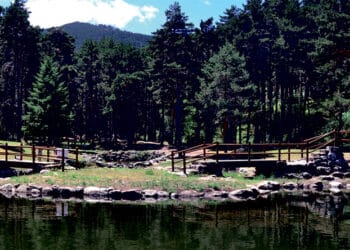 El agua y el bosque, una relación milenaria de la que nacen rincones impresionantes y vestigios de una cultura única y especial. / Ayuntamiento de Navafría