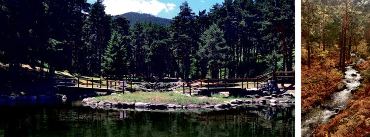 Navafría, el lugar donde termina el estrés y la vida se respira 1 El agua y el bosque, una relación milenaria de la que nacen rincones impresionantes y vestigios de una cultura única y especial. / Ayuntamiento de Navafría