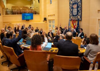 Primer Pleno del Ayuntamiento de Segovia en 2026. / Héctor Criado