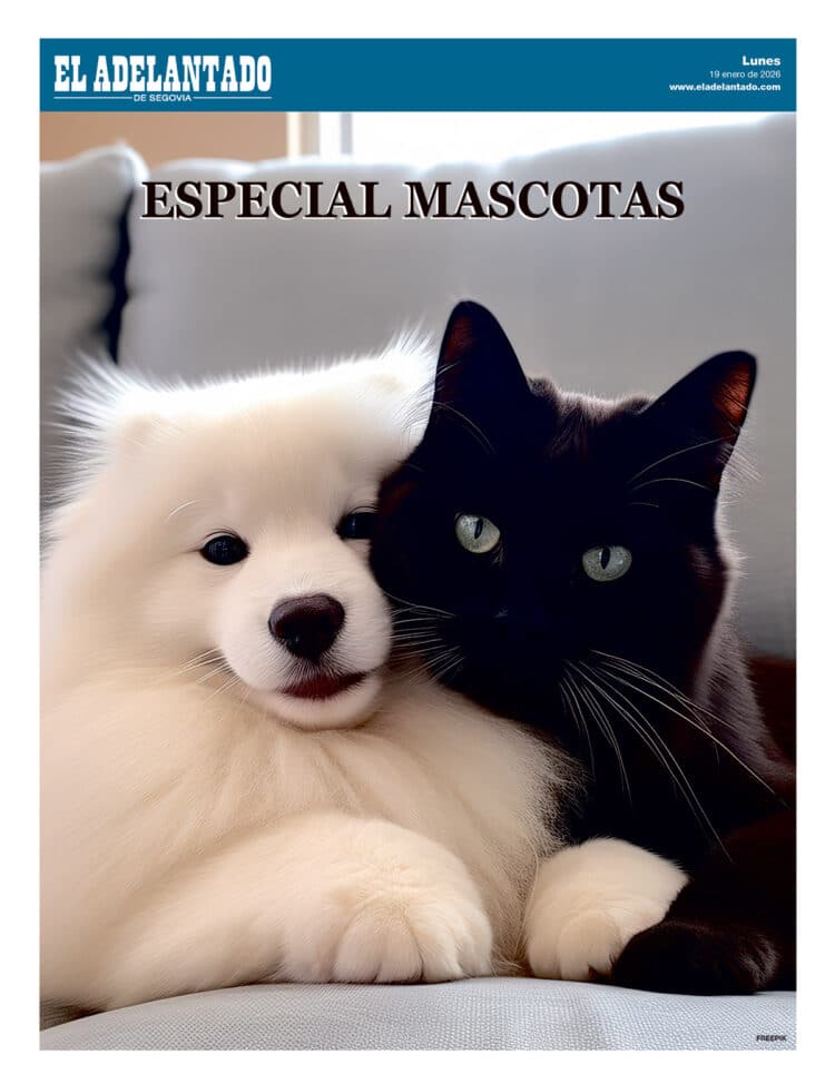 portada mascotas