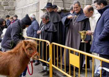 Bendición de animales en la festividad de San Antón en ediciones anteriores / E.A.