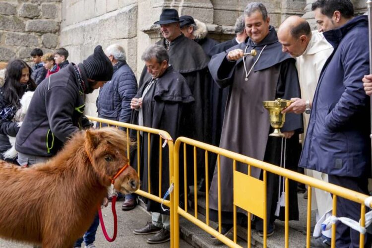 La misa, la procesión y la bendición de animales centran la festividad de San Antón en El Espinar 1 Bendición de animales en la festividad de San Antón en ediciones anteriores / E.A.