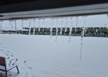 El campo municipal de La Albuera amanece completamente nevado en la jornada del sábado./J.MARTÍN-G.SEGOVIANA