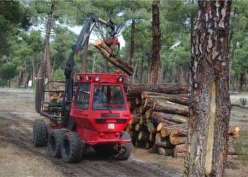 Actividades forestales en el entorno de Coca./ E.A.