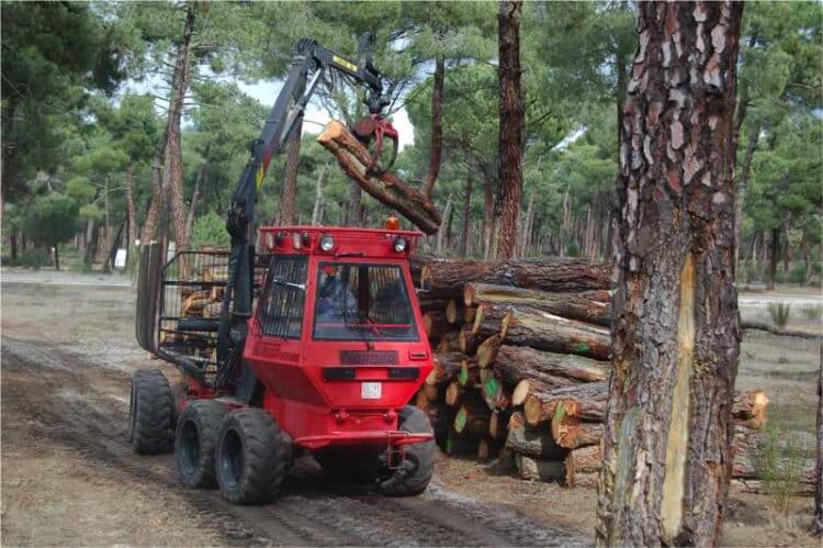 El Centro de FP de Coca, sede del Campeonato Forestal Nacional de Estudiantes 2026 1 Actividades forestales en el entorno de Coca./ E.A.