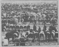 La feria El Ángel a través de las crónicas de prensa 2 Feria de El Ángel en El Adelantado de Segovia del 12 de marzo 1983.