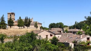 En las proximidades del Pirón (I) 7 Encinas, enebros, pinos y sabinas resguardan la población de Cubillo.