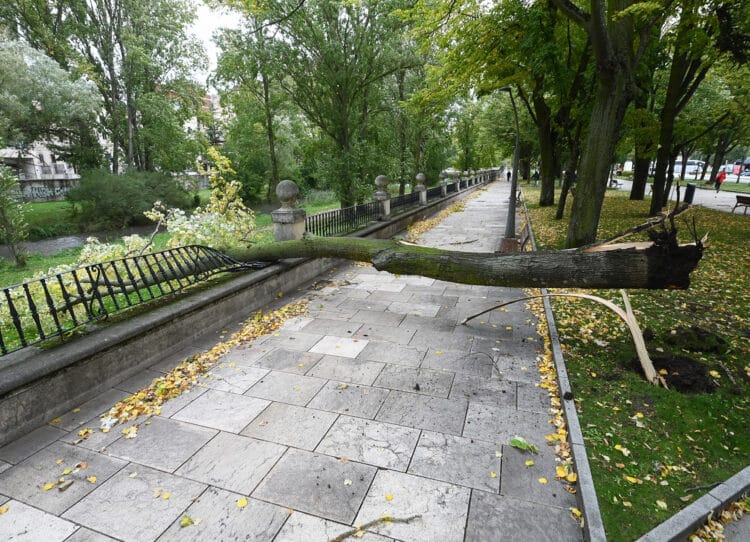 La Aemet activa avisos amarillos por fuertes rachas de viento en las nueve provincias 1 Protección Civil aconseja mantener las medidas de precaución. / Ricardo Ordóñez