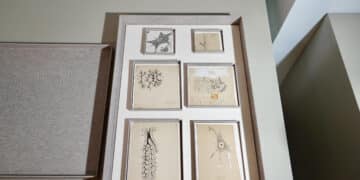 Según el profesor Francisco Pastor, los dibujos aparecen en la publicación de 1885 “Elementos de histología normal y de técnica micrográfica”. / Miriam Chacón