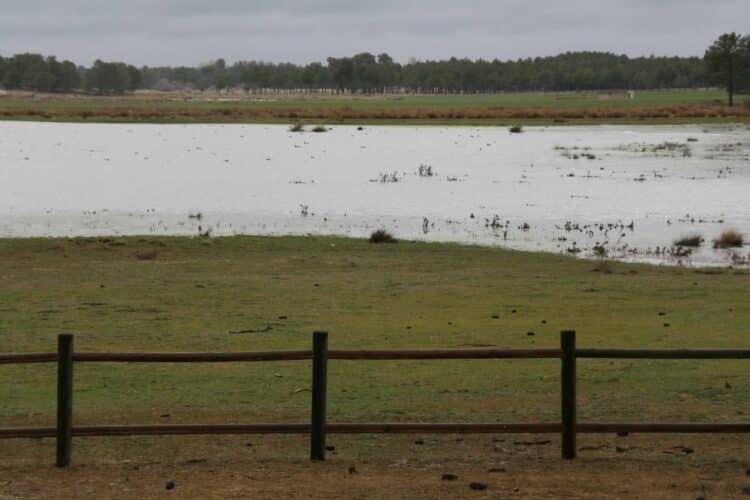 Lagunas de Cantalejo en una fotografía de archivo / FD