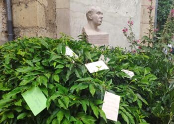 Busto en la casa del poeta con dedicatorias.