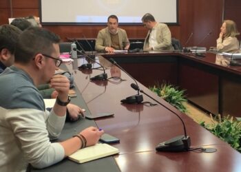 Momento de la reunión. /DIPUTACIÓN DE SEGOVIA