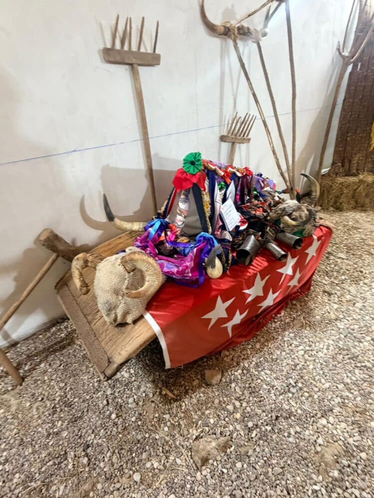 Una de las vaquillas expuestas. /DIPUTACIÓN DE SEGOVIA