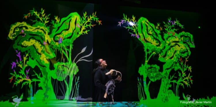 El Juan Bravo acoge ‘Andersen, el patito feo’ de la compañía Etcétera 1 Imagen del espectáculo. /JAVIER MARTÍN/TEATRO JUAN BRAVO